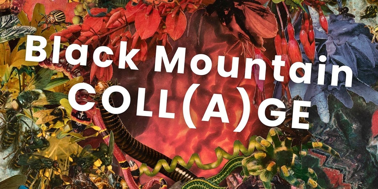 BLACK MOUNTAIN COLL(A)GE Exhibition Set For May  Image