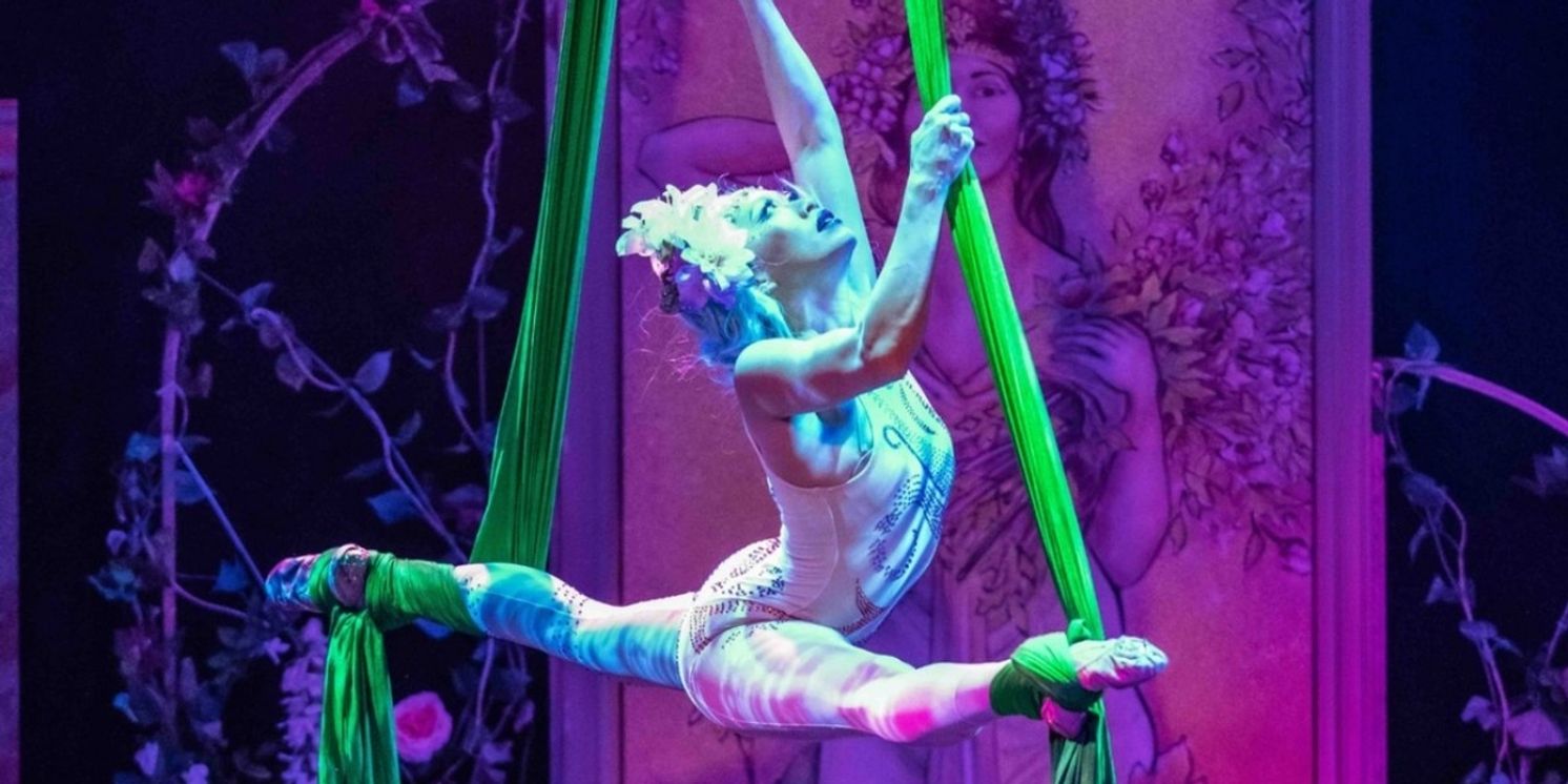 BOHEMIA Returns To The Triple Door This Month  Image