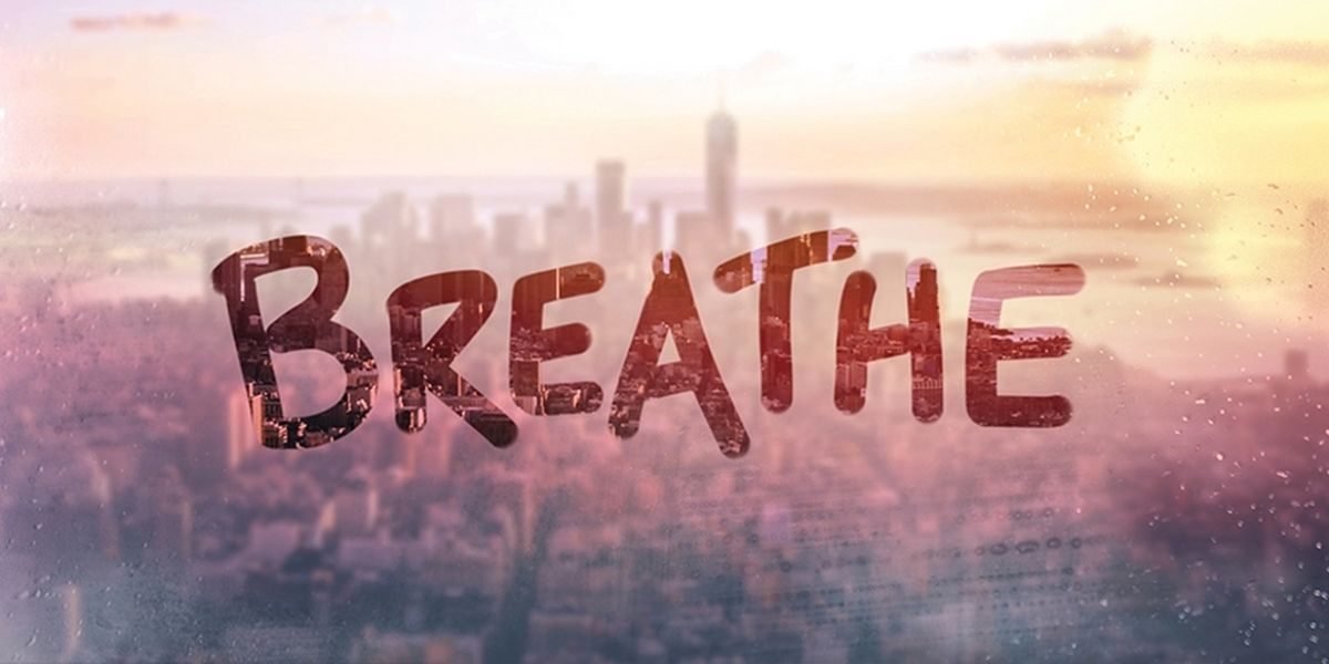 Jodi Picoult and Timothy Allen McDonald's BREATHE Is Now Available for Licensing