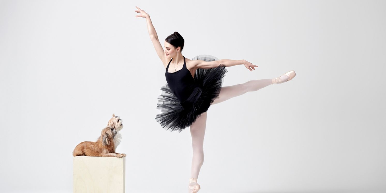 Dance For Paws To Host GRACE TO THE RESCUE Inaugural Gala To Benefit Homeless Animals   Image