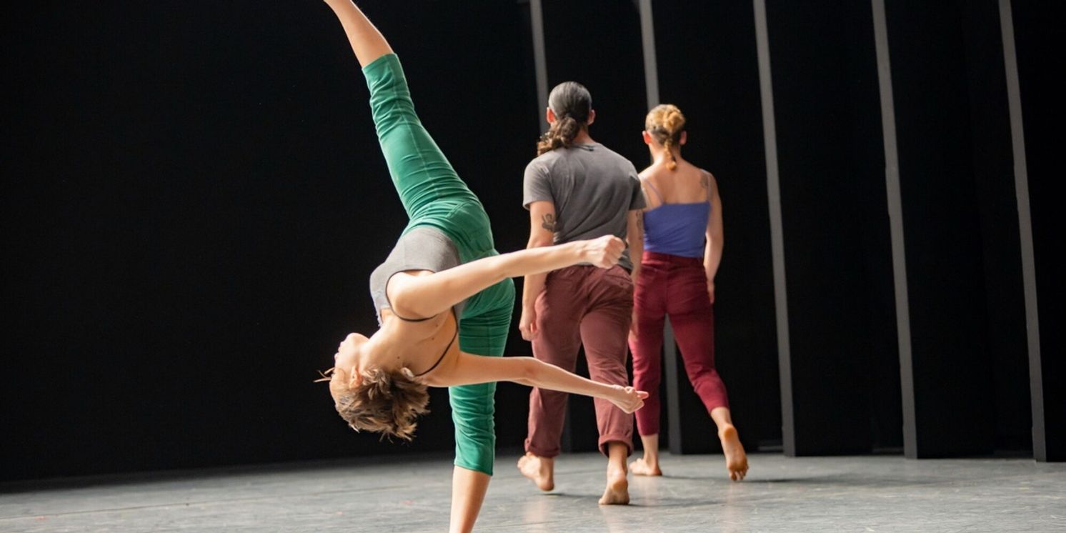 Batsheva Dance Company Will Host Decadance 2025 in December  Image