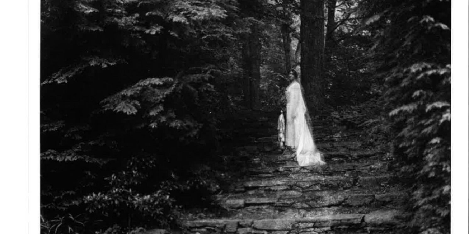 Berkshire Pulse Choreographers Present Intergenerational Performances At Chesterwood  Image