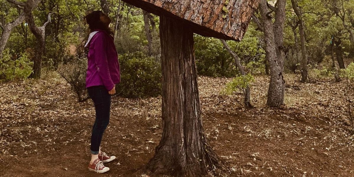 Bernheim Arboretum And Research Forest Announces L+A+N+D