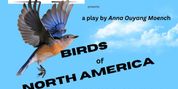 BIRDS OF NORTH AMERICA to Open Morningside Theater Co. 2026-27 Season Photo