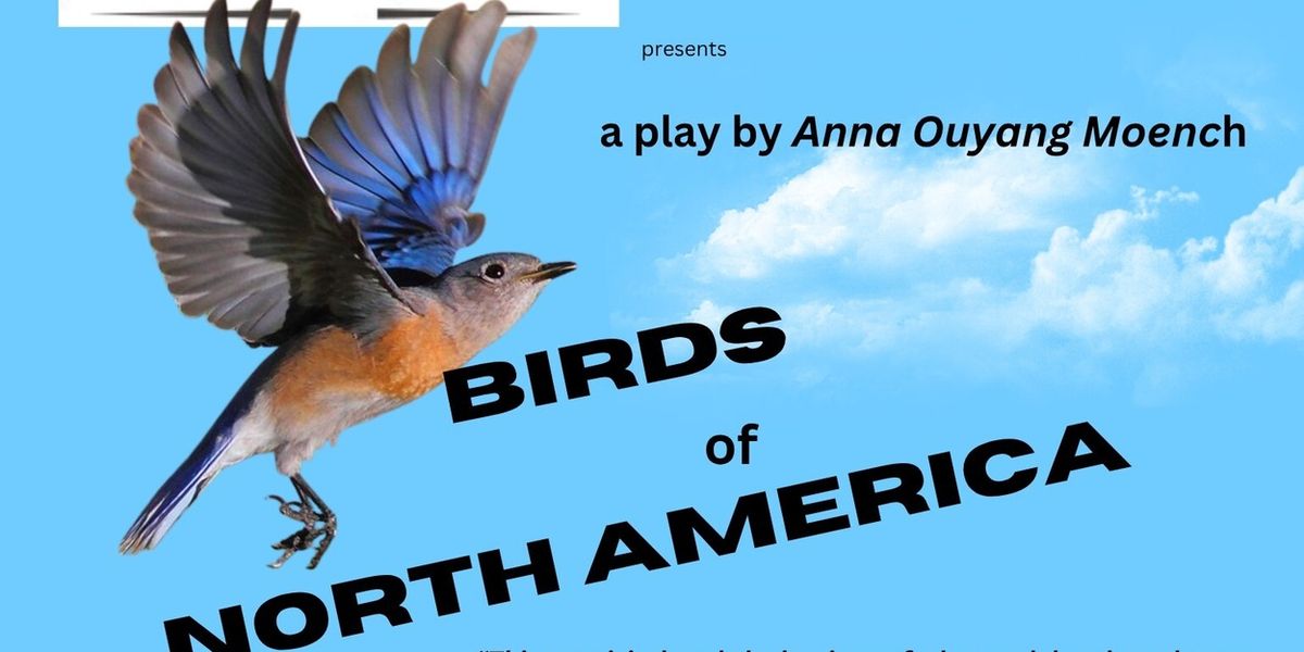 BIRDS OF NORTH AMERICA to Open Morningside Theater Co. 2026-27 Season
