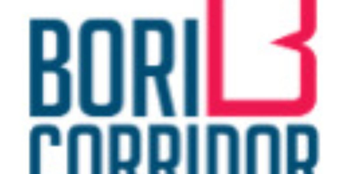 BoriCorridor Tour 2024 Announces A Year Of Puerto Rican Programming In New York City