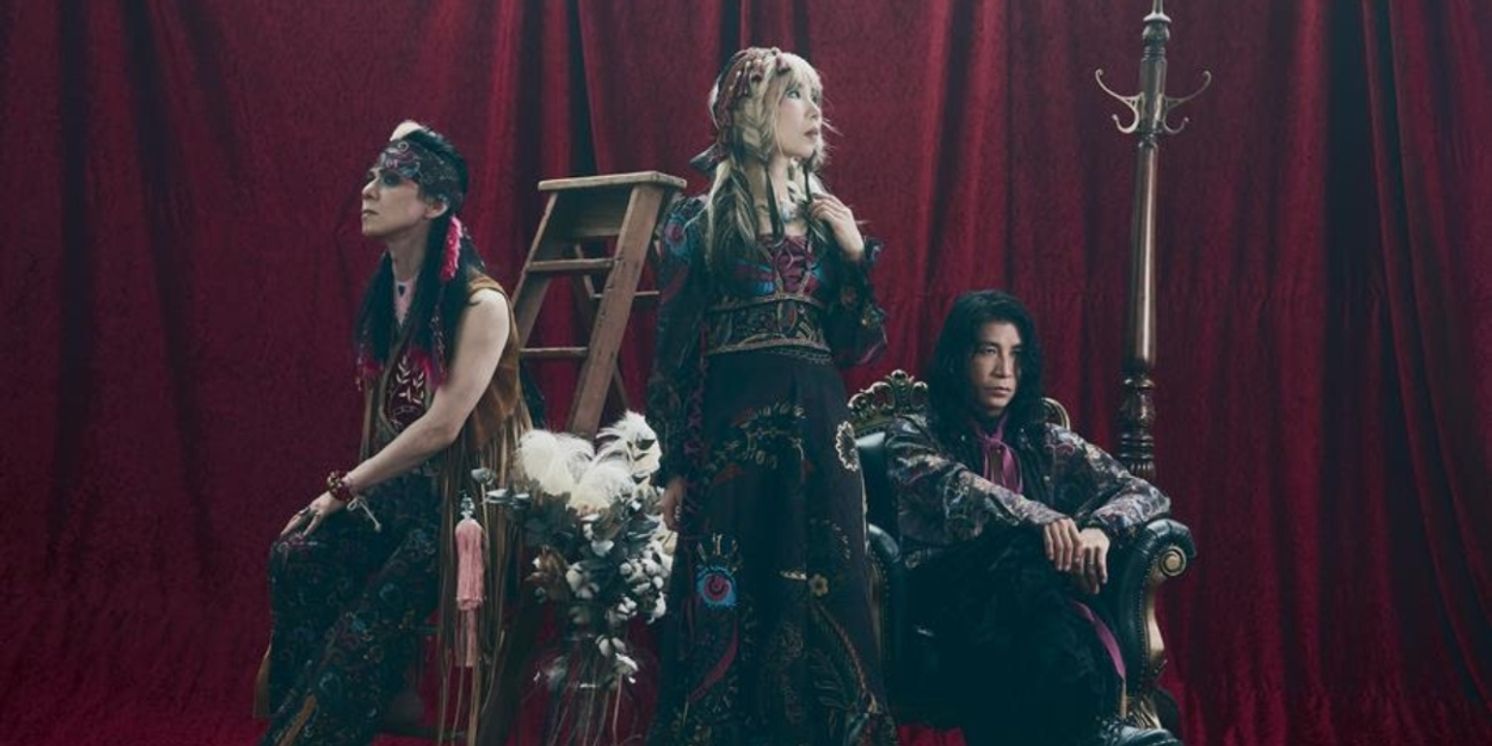 Boris Details Pink 20th Anniversary Tour 'Do You Remember Pink Days?'  Image