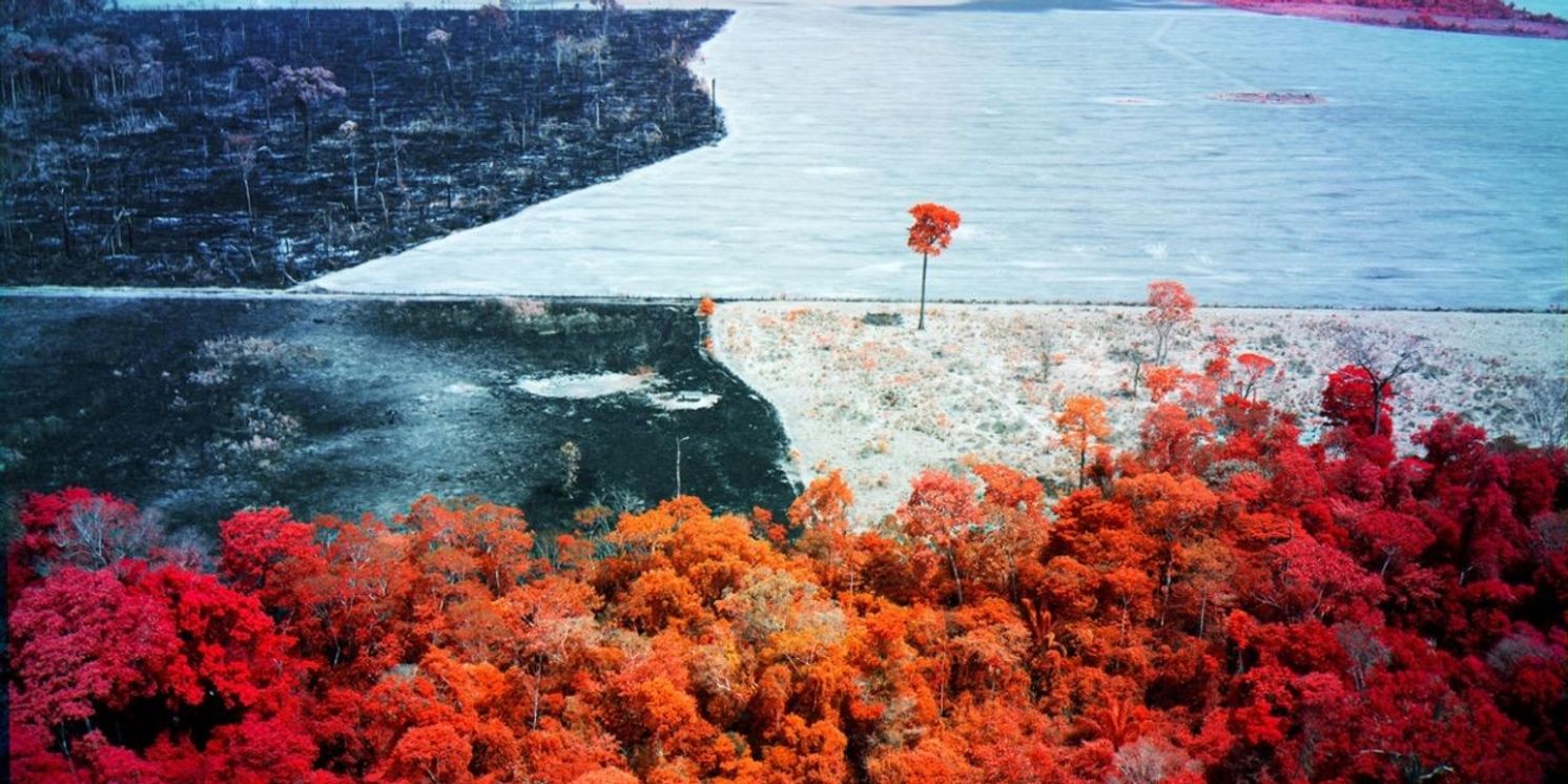 Bozar Reveals 2024 Exhibitions With Belgian Surrealism, James Ensor, Chantal Akerman, and More!  Image