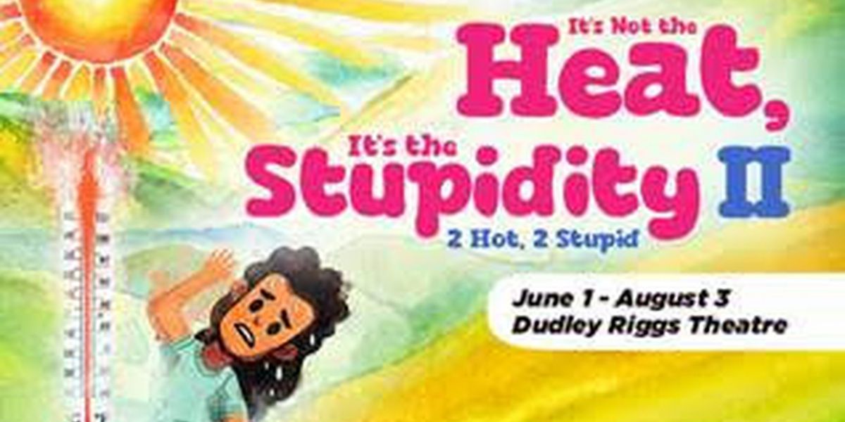 Brace New Workshop Will Present IT'S NOT THE HEAT, IT'S THE STUPIDITY Next Month