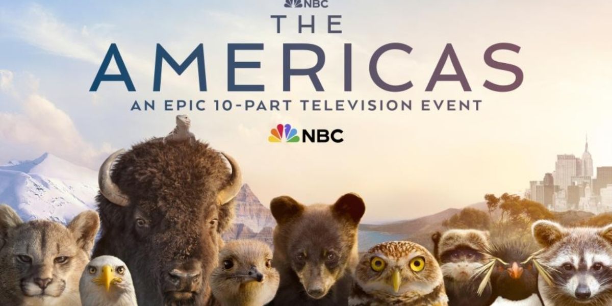 Brandi Carlile Debuts New Song 'Wandering' in NBC's THE AMERICAS