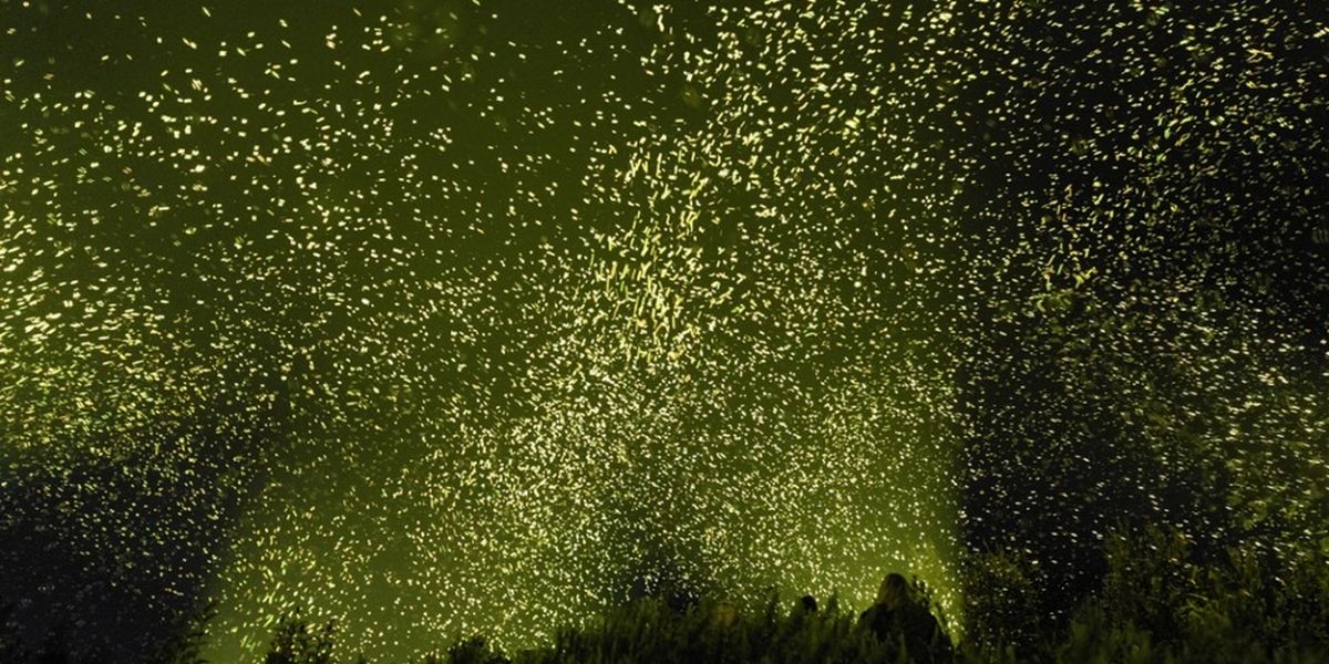 Breckenridge International Festival of Arts Comes to Colorado in August