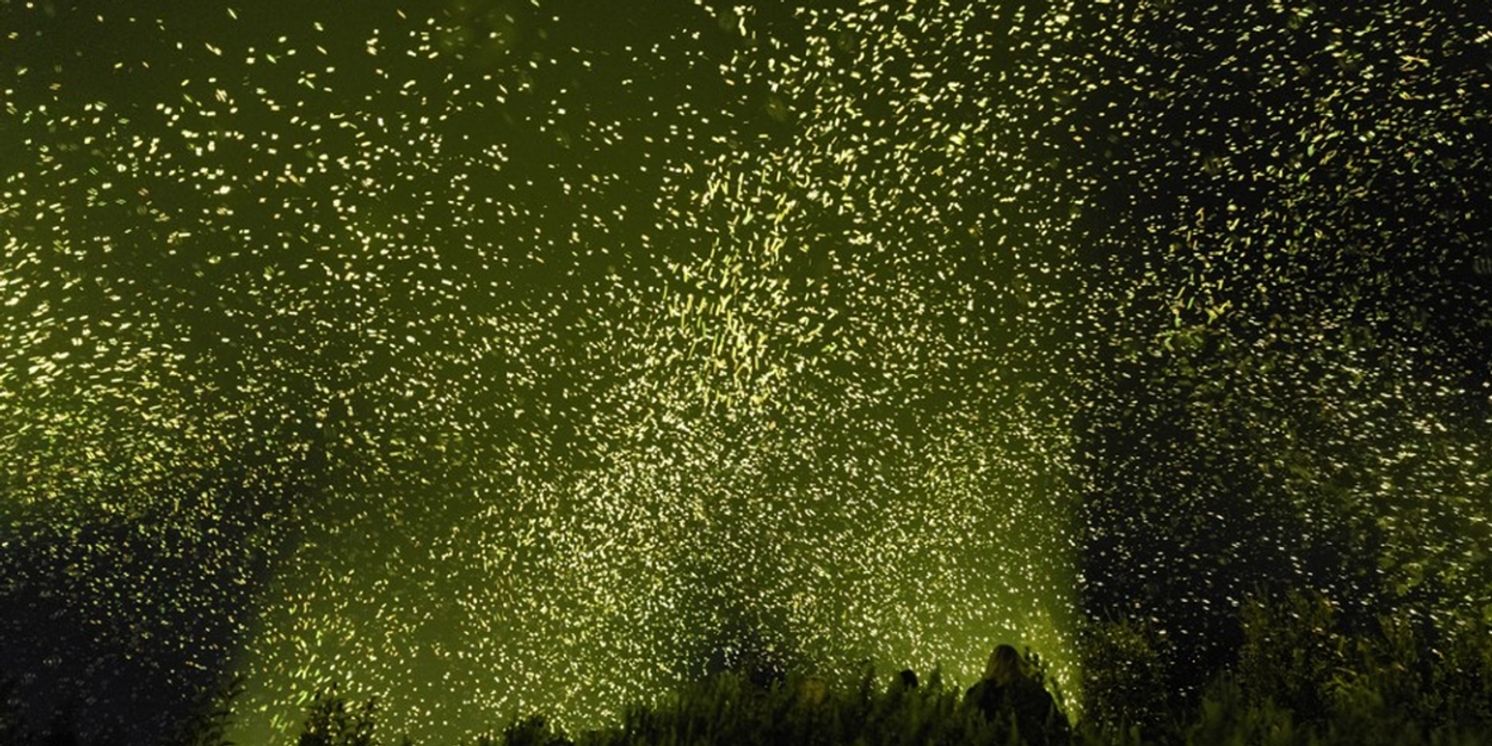 Breckenridge International Festival of Arts Comes to Colorado in August  Image