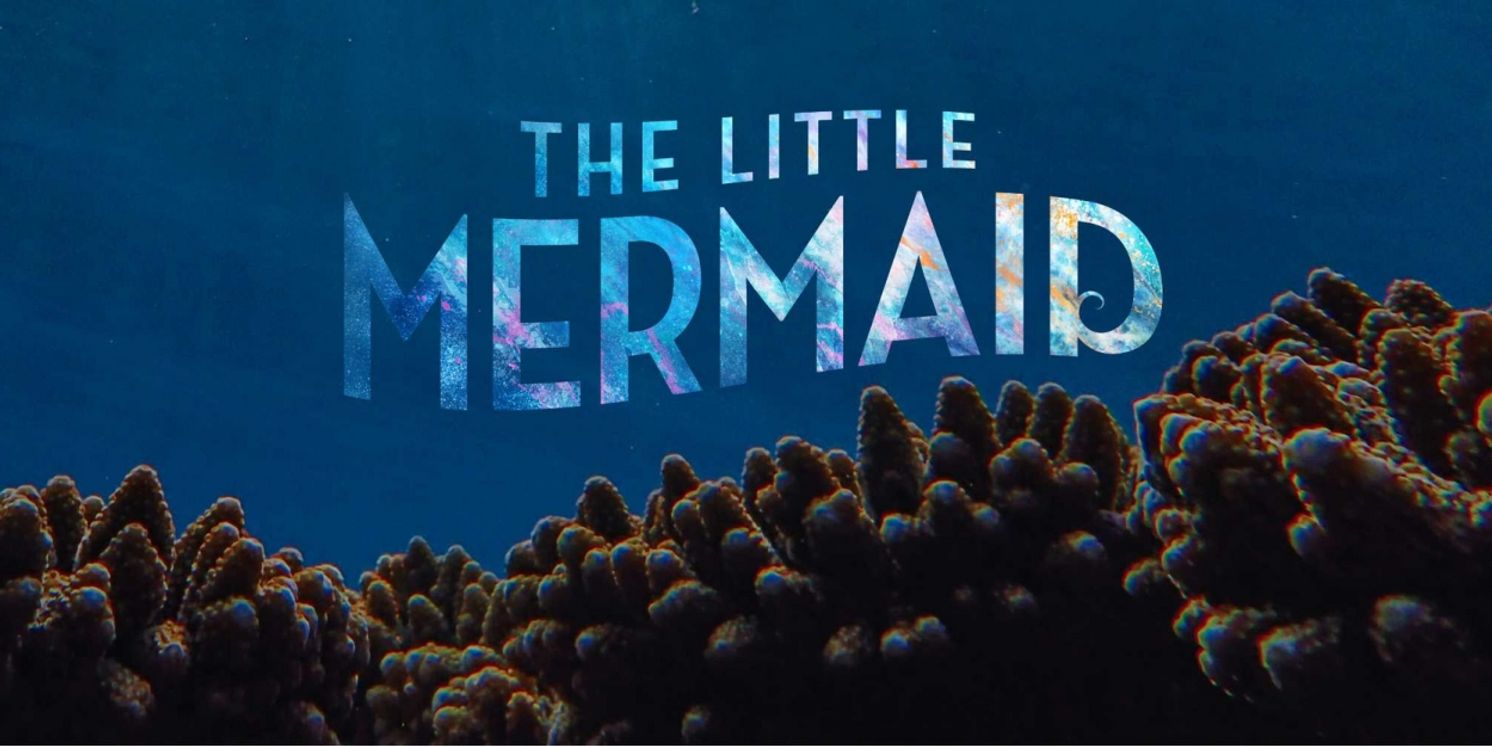 Bristol Old Vic's LITTLE MERMAID-Inspired Summer Project Spolights Ocean Conservation  Image