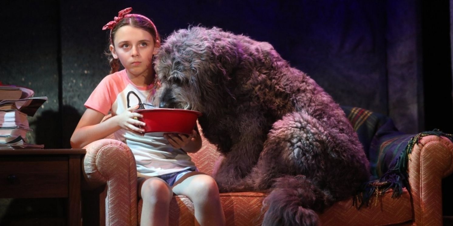 Broadway-Bound BECAUSE OF WINN-DIXIE to Hold Open Casting Call for 'Opal Buloni'  Image