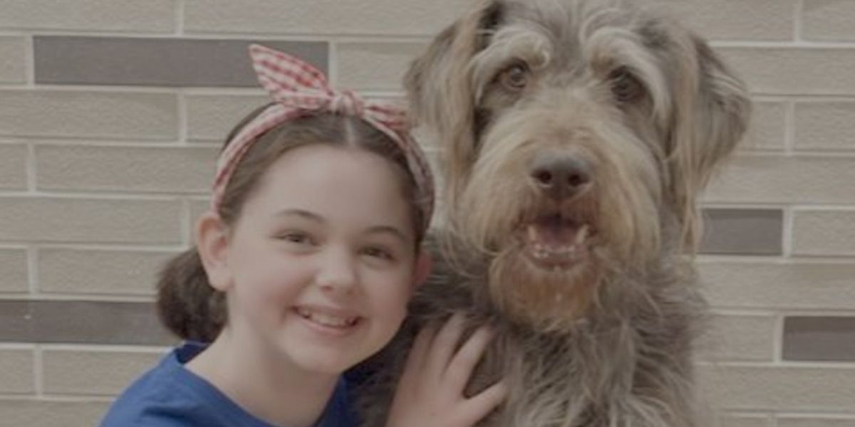 Broadway-Bound BECAUSE OF WINN-DIXIE to Hold NYC Reading