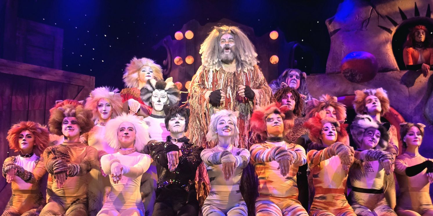 CATS Now Playing At Broadway Palm Dinner Theatre  Image