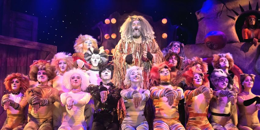 CATS Now Playing At Broadway Palm Dinner Theatre Photo