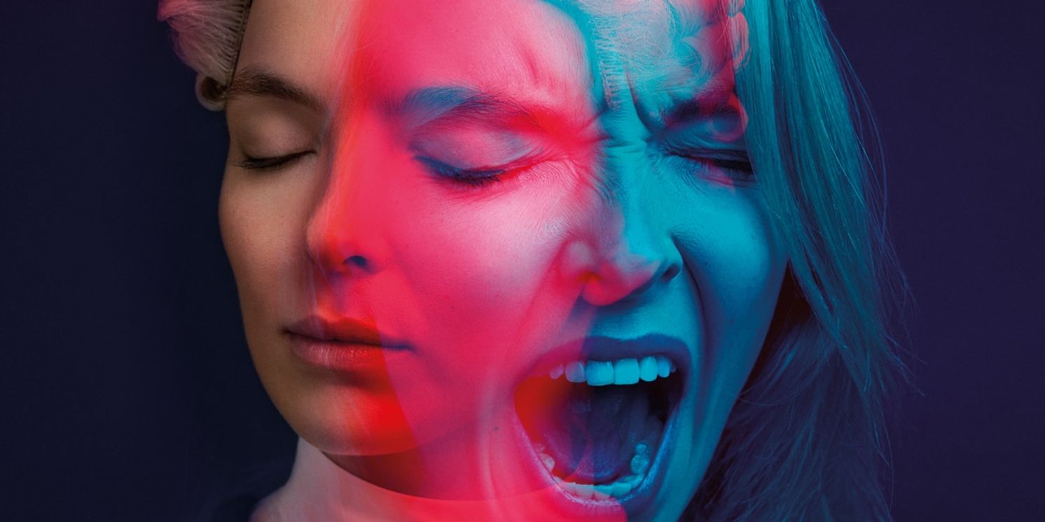 BroadwayWorld's 2024 Christmas Book Gift Guide  Image