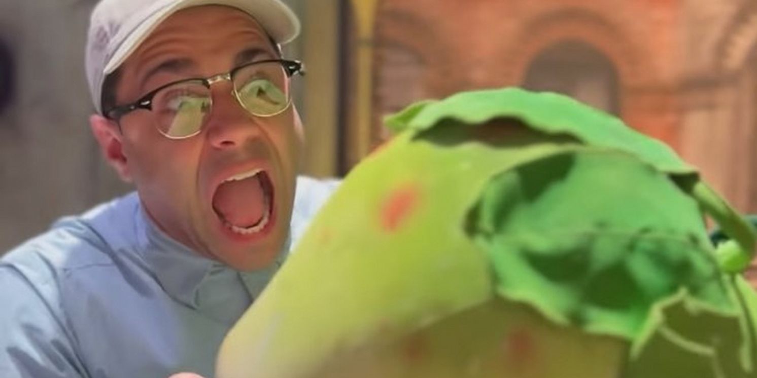 BroadwayWorld's Solar Eclipse Survival Guide  Image