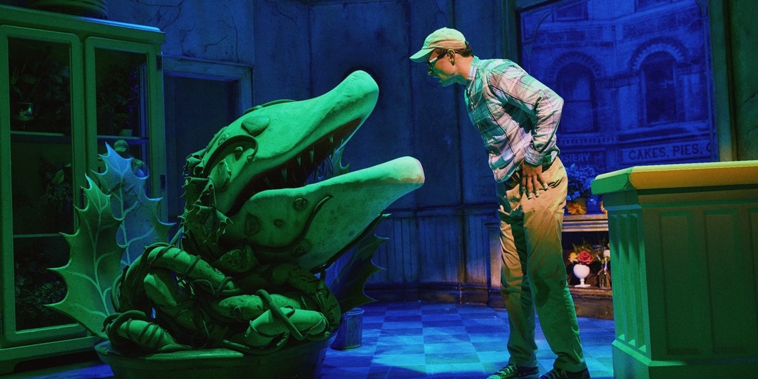 How to Throw a Spooktacular Broadway Halloween Party  Image