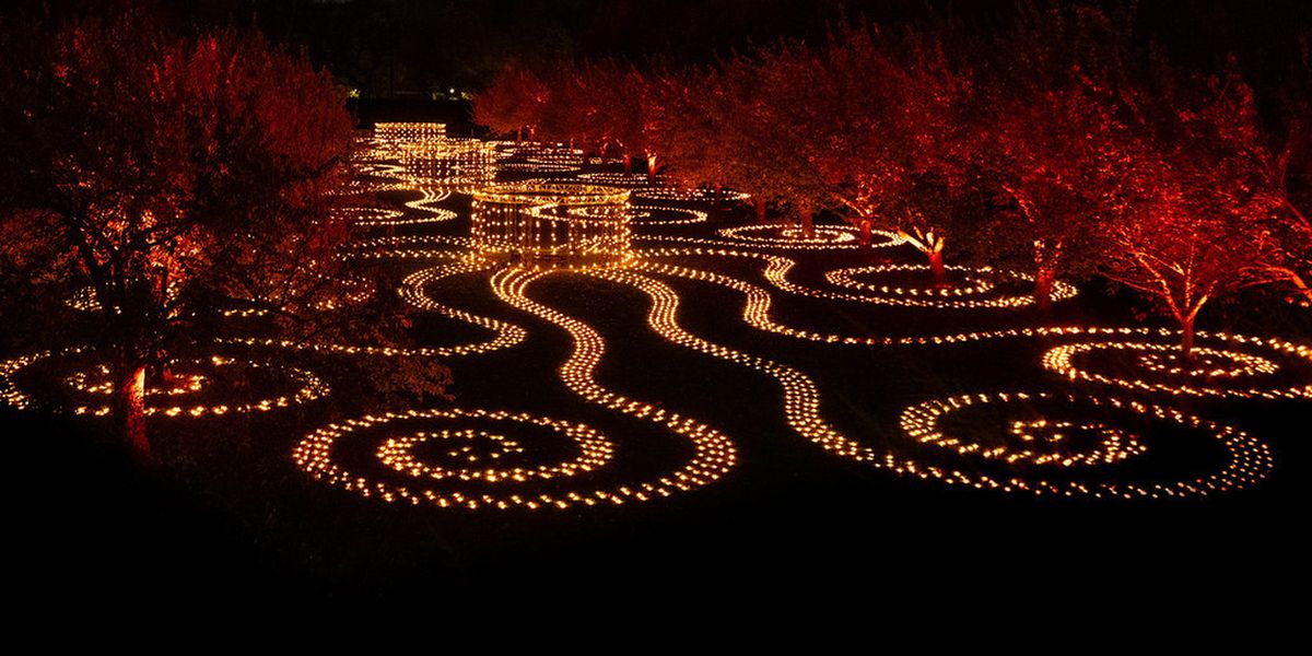 Brooklyn Botanic Garden's Lightscape Opens To The Public For 2025