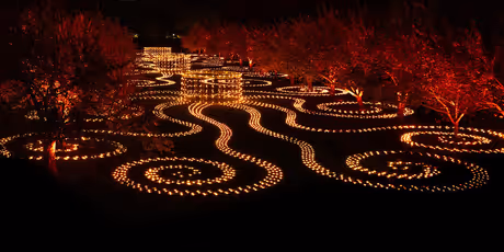 Brooklyn Botanic Garden's Lightscape Opens To The Public For 2025 Photo