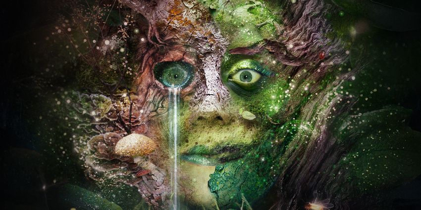 Bryony Kimmings' BOG WITCH to Embark on UK and Ireland Tour in 2026 Photo