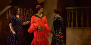 CARMEN From Cape Town Opera to Screen at Ster-Kinekor Cinemas Photo