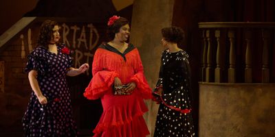 CARMEN From Cape Town Opera to Screen at Ster-Kinekor Cinemas Photo