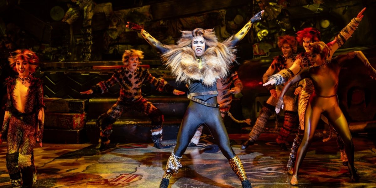 CATS Celebrates 40th Anniversary in Australia