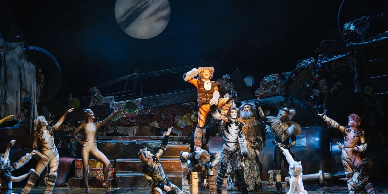 CATS Comes to Perth This Year  Image