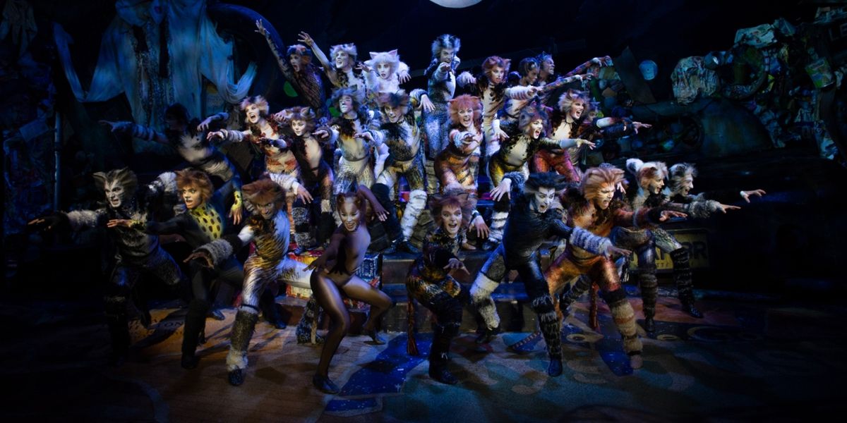 CATS Returns To Its Original Australian Home After 40 Years