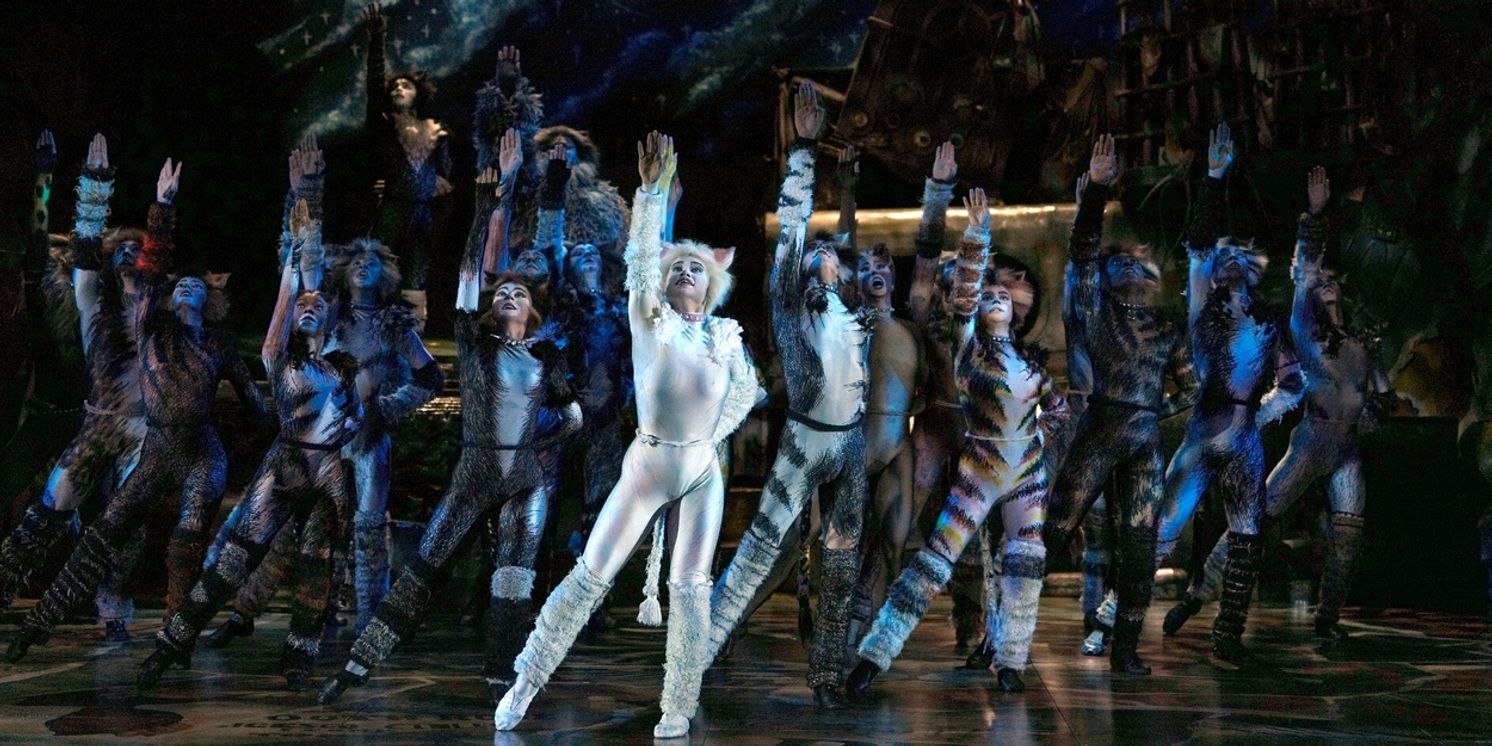 CATS Returns to Sands Theatre This October; Waitlist Now Open  Image