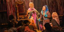 CATS: THE JELLICLE BALL Cancels Performance July 13th
