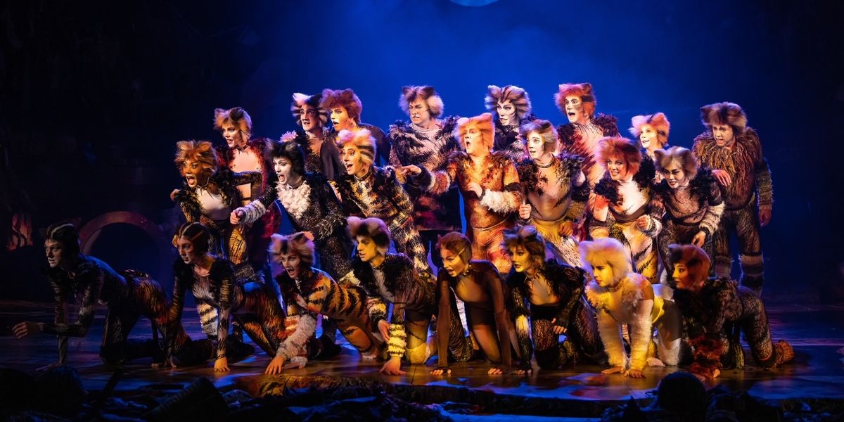 CATS Will Return to South Africa This Year