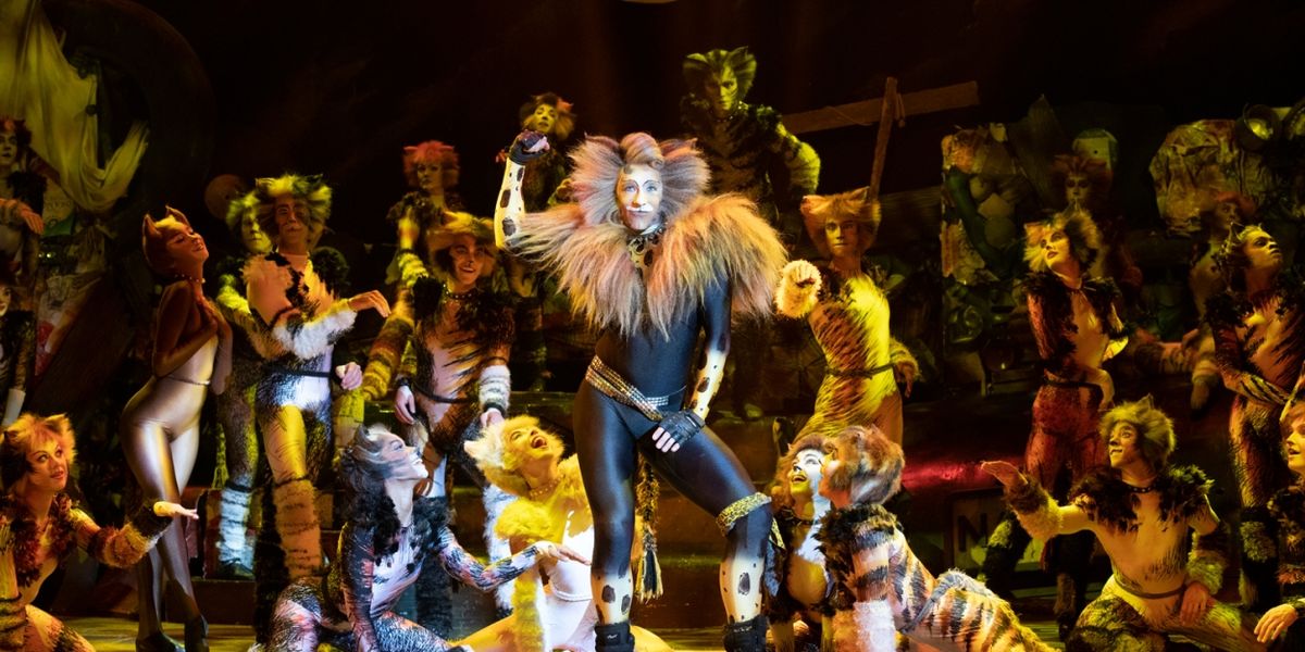 CATS in Australia Adds New Cities Plus Extra Sydney Performances