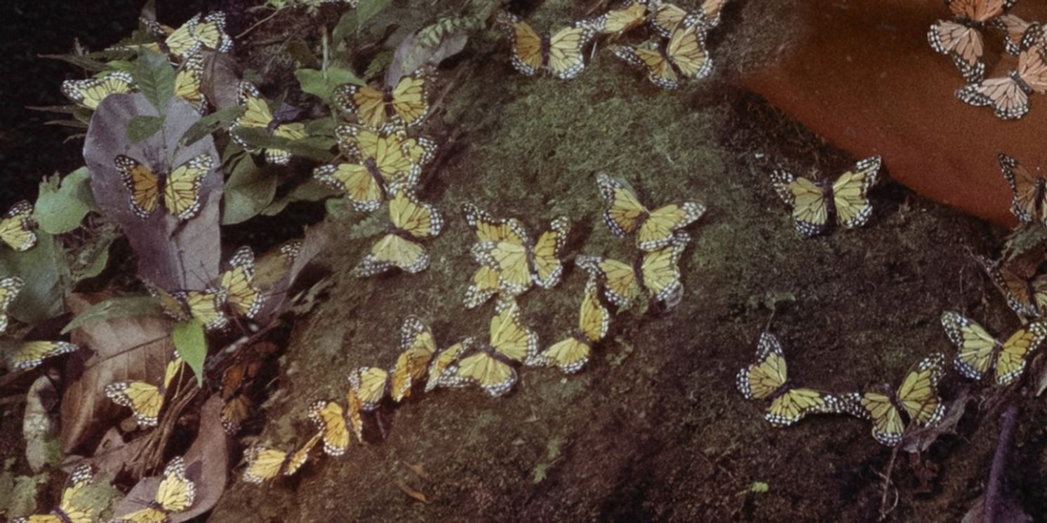 Cattaneo and Yosie Collaborate on Latest Single 'Juno Fog'  Image