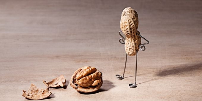 CHOCK FULL OF NUTS Comes to Denver in February Photos