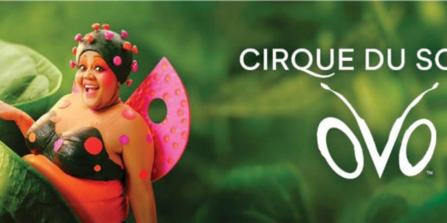 Cirque du Soleil presenta OVO en Madrid en 2026  Image