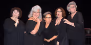 CONTROL TOP to Bring New Play by Carole Vasta Folley to Lost Nation Theater Photo