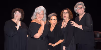 CONTROL TOP to Bring New Play by Carole Vasta Folley to Lost Nation Theater
