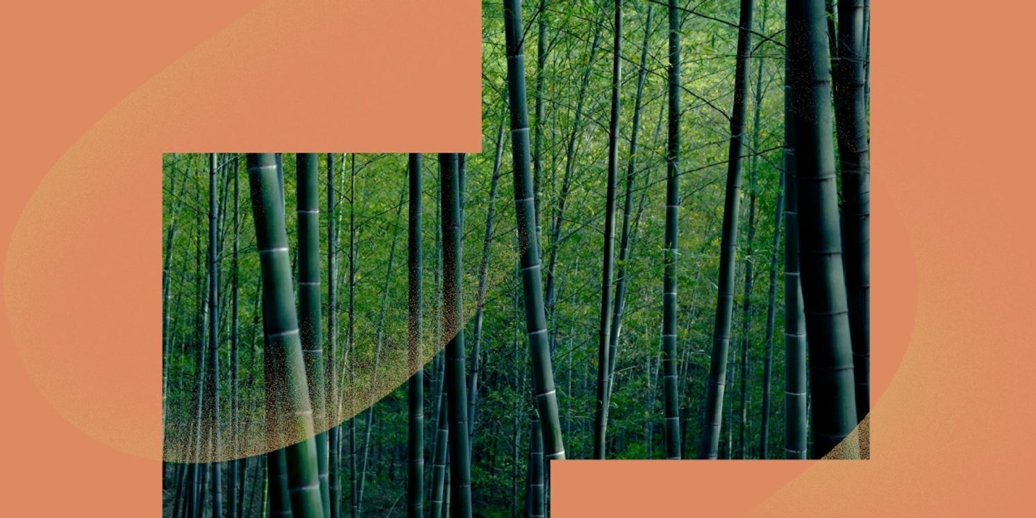 CROUCHING TIGER, HIDDEN DRAGON LIVE IN CONCERT Comes to Hong Kong  Image