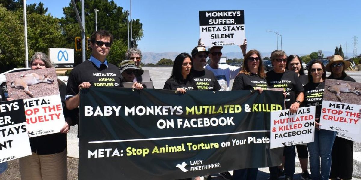 CRUELTY FOR CLICKS Documentary to Premiere at Indiewood Film Festival