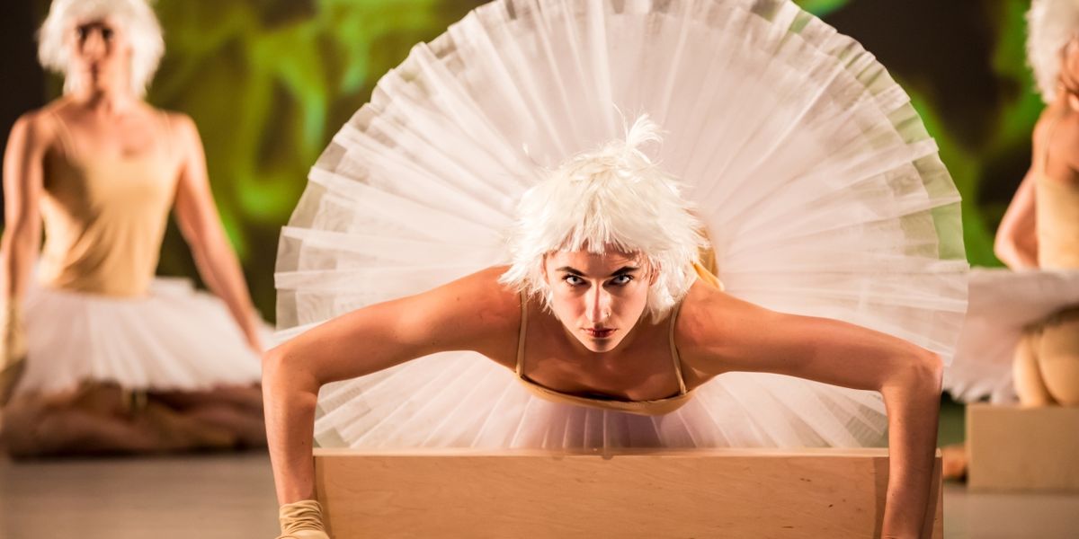 Canadian Premiere of SWAN LAKES + MINUS 16 Comes to Harbourfront Centre Next Month