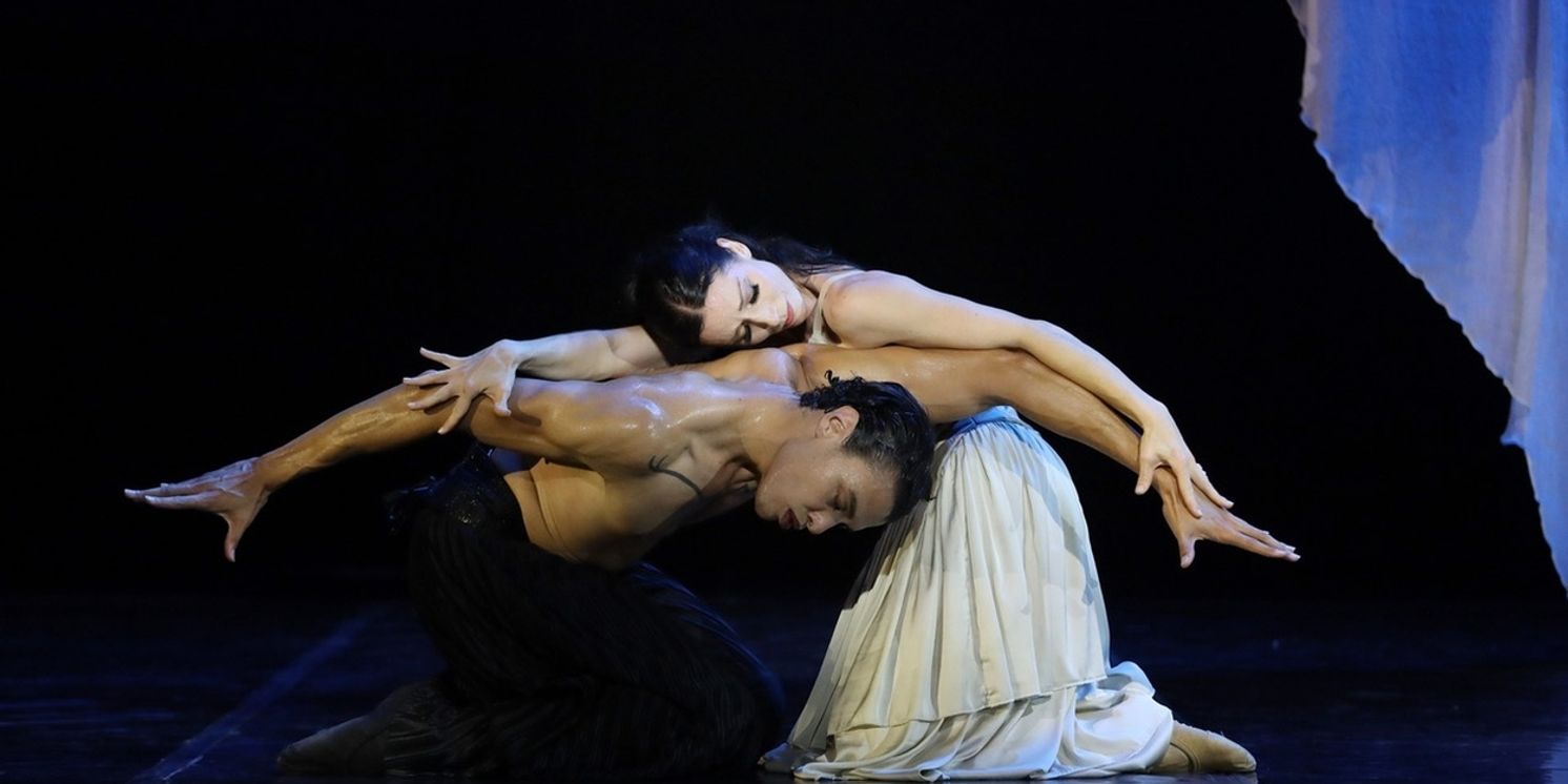 Cape Town City Ballet Adds Two More DRACULA Shows  Image