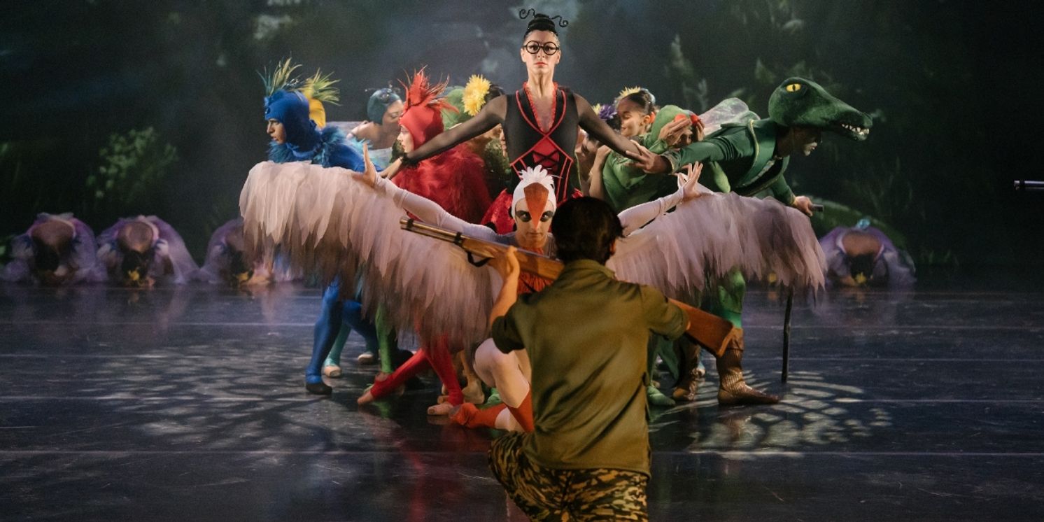 Carnaval De Los Animales. El Canto De Los Cisnes: Una Puesta En Escena Sobre Ecosistemas Y Animales Amenazados  Image