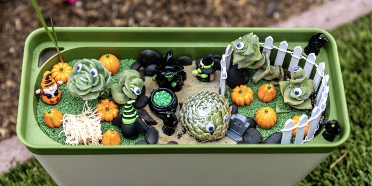 Casa Romantica Celebrates Fall With New Edible Garden And Seasonal Programming  Image