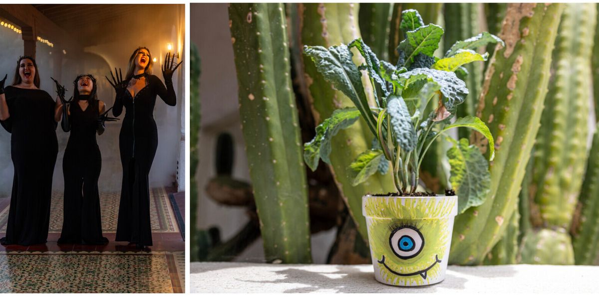 Casa Romantica Reveals Fall Lineup of Performances, Art, Garden Workshops, and Seasonal Celebrations