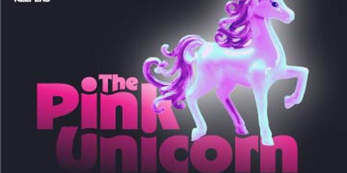 Cast And Creative Team Set for THE PINK UNICORN Site-Specific Production in Tampa Bay