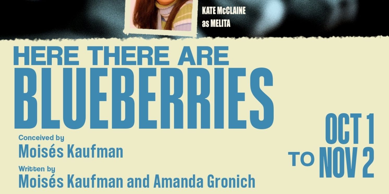 Cast Announced at Detroit Public Theatre for HERE THERE ARE BLUEBERRIES  Image
